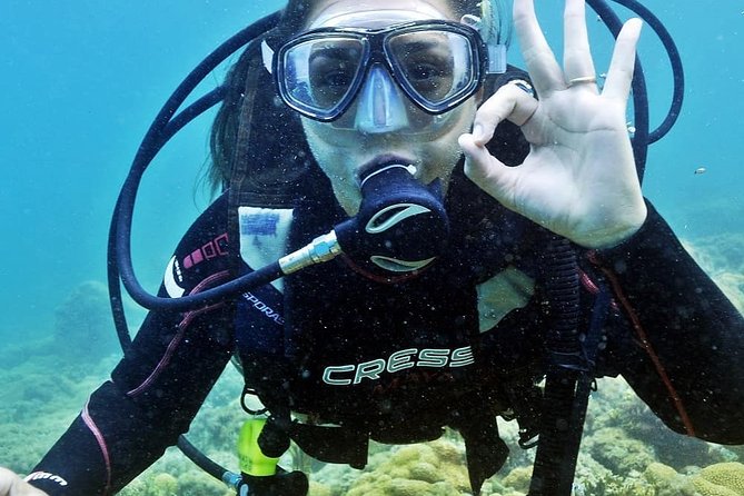Private Program for Accredited Diver in Búzios - What the two-hour Praia João Fernandes session feels like