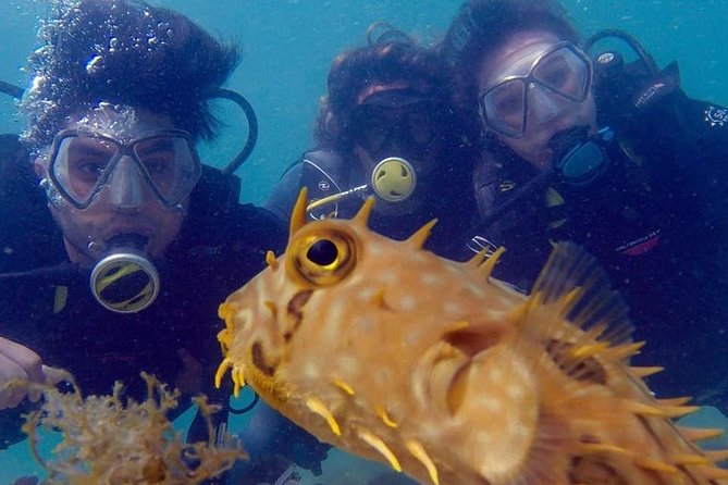 Private Program for Accredited Diver in Búzios - Why Praia João Fernandes makes a good shore entry