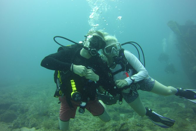 Private SCUBA Dive the reefs of Key Largo for up to 8 certified divers - Two one-hour sessions on the reef