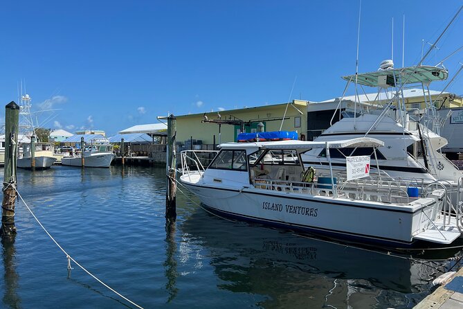Private SCUBA Dive the reefs of Key Largo for up to 8 certified divers - The price makes more sense for a full group