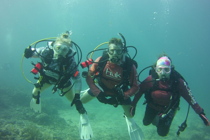 Private SCUBA Dive the reefs of Key Largo for up to 8 certified divers - Timing, fitness, and practical preparation