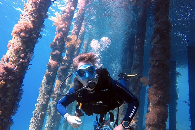 Private Scuba Diving Adventure in the Red Sea of Aqaba - Key points to know before booking