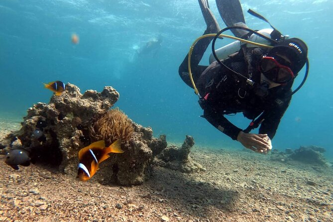 Private Scuba Diving Adventure in the Red Sea of Aqaba - The equipment, photos, and videos included