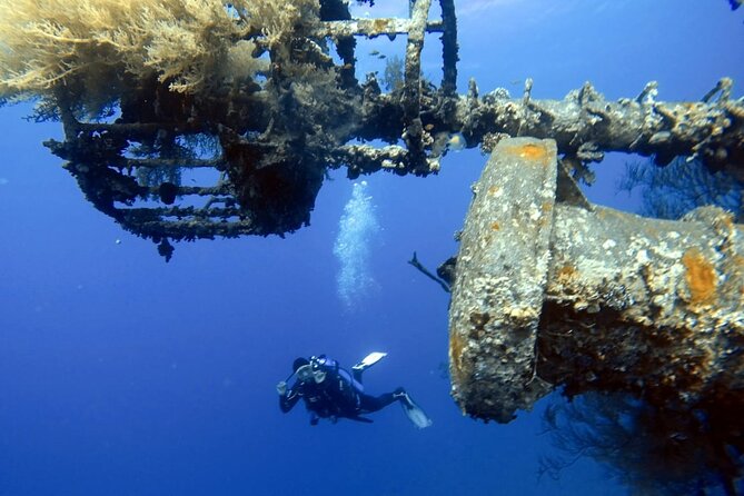 Private Scuba Diving Adventure in the Red Sea of Aqaba - What beginners actually do before heading underwater