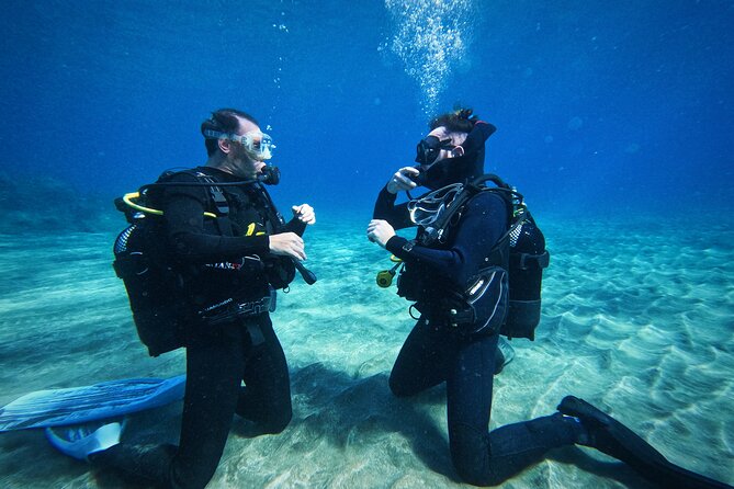 Private Scuba Diving in Tenerife – Certified Instructor & Photos - The 30 to 40 minute briefing is time well spent