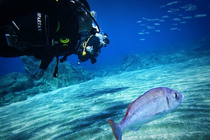 Private Scuba Diving in Tenerife – Certified Instructor & Photos - The shore entry is the hardest physical part