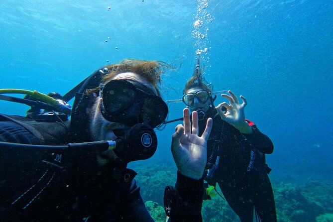 Private Scuba Diving in Tenerife – Certified Instructor & Photos - Underwater photos give you something to keep