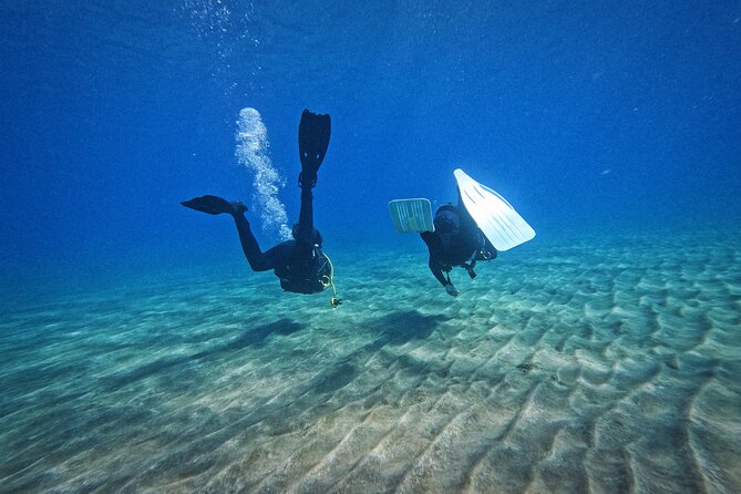 Private Scuba Diving in Tenerife – Certified Instructor & Photos - Return to shore, review, and transport back