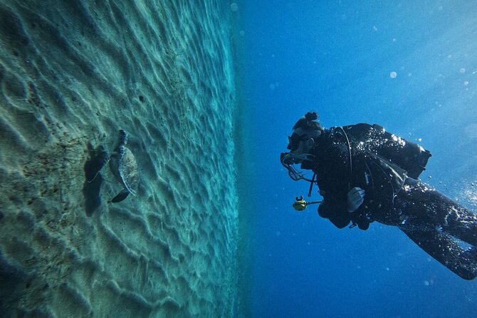 Private Scuba Diving in Tenerife – Certified Instructor & Photos - Pickup from southern Tenerife and the trip to Los Cristianos
