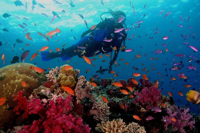 Professional 2 Stops Scuba Diving Full Day Boat Trip - Hurghada - Lunch and a proper break on the boat