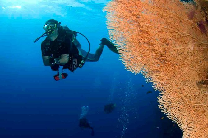 Professional 2 Stops Scuba Diving Full Day Boat Trip - Hurghada - The second site adds variety