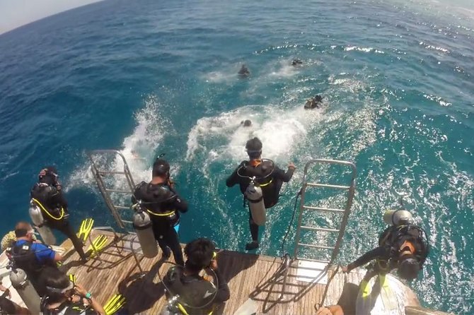 Professional 2 Stops Scuba Diving Full Day Boat Trip - Hurghada - Why the $24 price is strong value