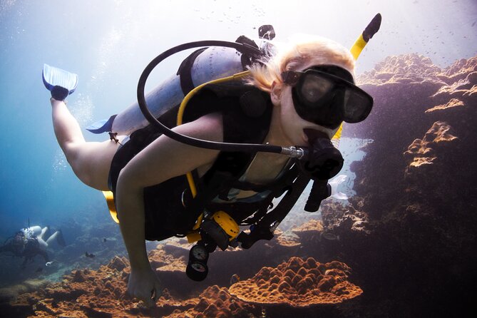 Professional Diver Two Stops Dives & Lunch, transfer–Hurghada - Key points to know before booking