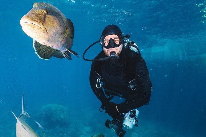 Professional Diver Two Stops Dives & Lunch, transfer–Hurghada - Time on the boat between water sessions