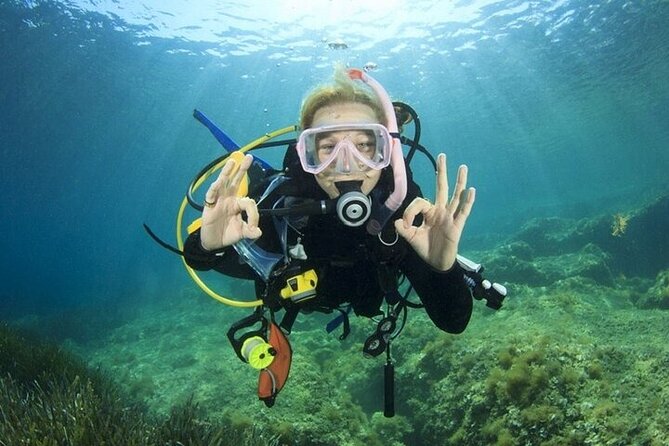 Professional Diver Two Stops Dives & Lunch, transfer–Hurghada - Lunch, drinks, and the value of staying onboard