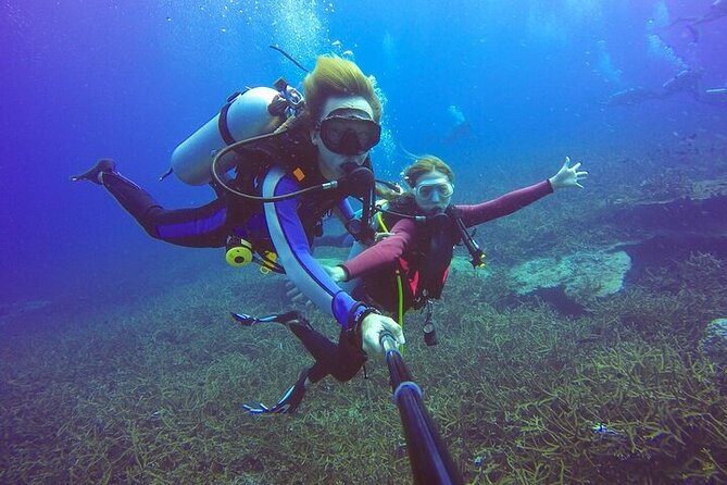 Professional Diver Two Stops Dives & Lunch, transfer–Hurghada - How professional the instruction feels