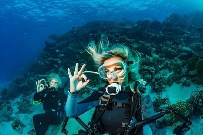 Professional Diver Two Stops Dives & Lunch, transfer–Hurghada - Transfers, group size, and small practical snags