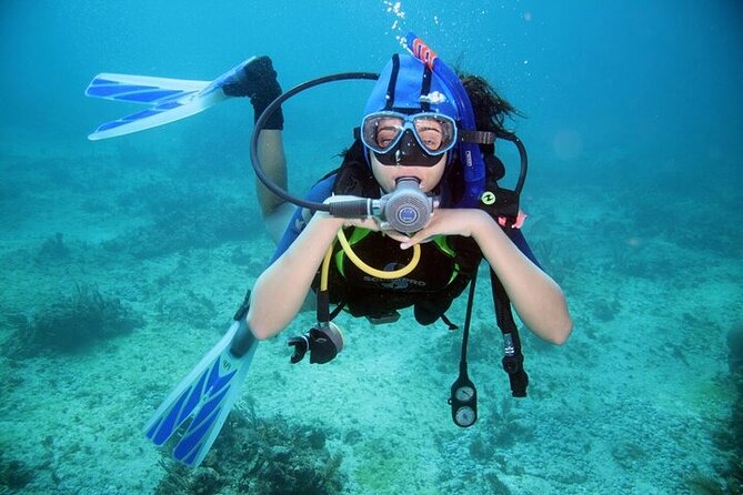 Professional Diver Two Stops Dives & Lunch, transfer–Hurghada - Who should book this Hurghada boat day