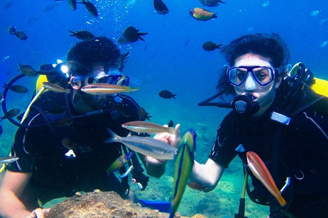Professional Diver Two Stops Dives & Lunch, transfer–Hurghada - What the two scuba sessions are like