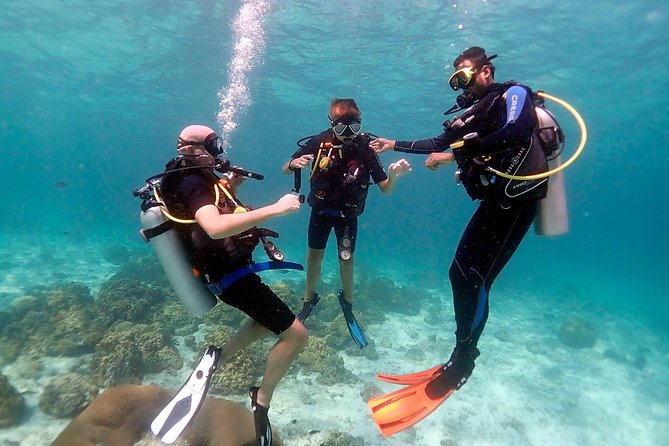 Professional Scuba Diving Full Day Trip With Transfer – Hurghada - Key points at a glance