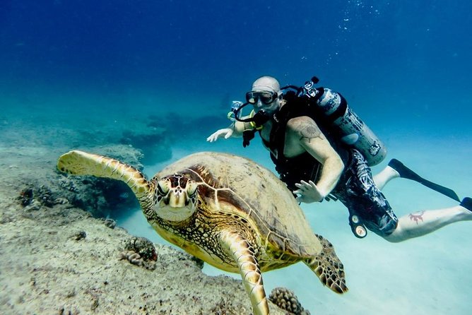 Professional Scuba Diving Full Day Trip With Transfer – Hurghada - Boarding the boat for a full day at sea