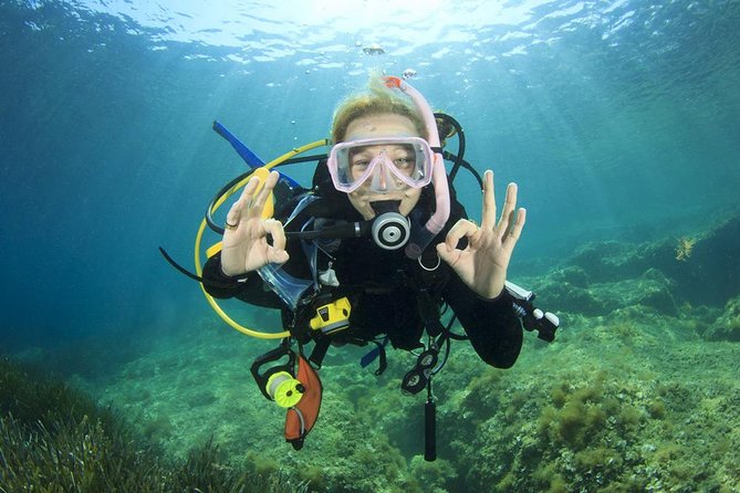 Professional Scuba Diving Full Day Trip With Transfer – Hurghada - Booking, cancellation, and useful preparation