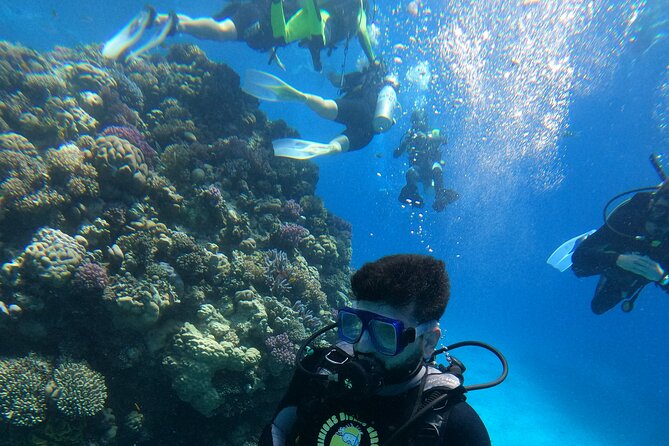 Professional Scuba Diving Trip in Hurghada with Lunch - Why Hurghada works well for a Red Sea scuba day