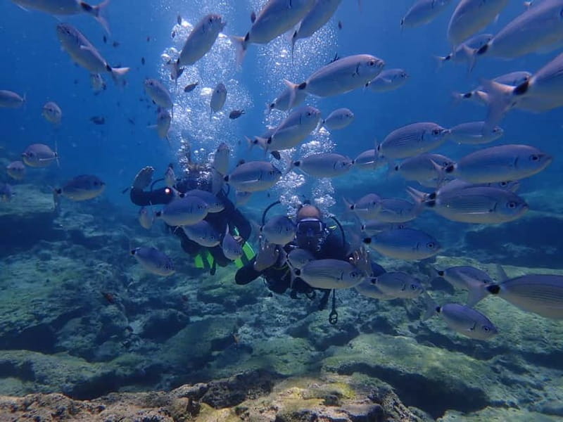 Protaras: 3-4 Day PADI Open Water Diver in Protaras - Step two: building skills in confined water