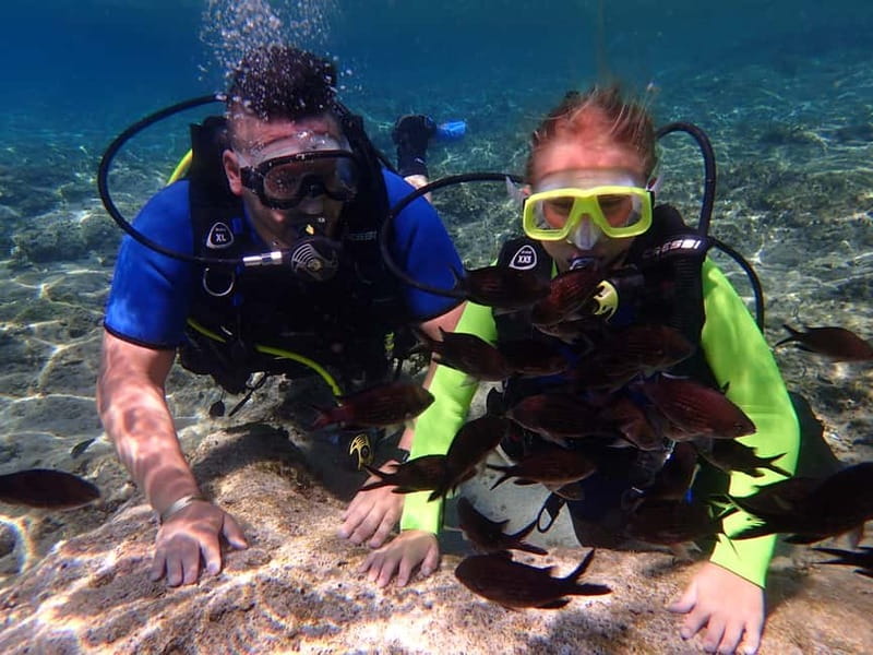 Protaras: Bubblemaker Diving Course & 2-Meter Dive - Key points to know before booking