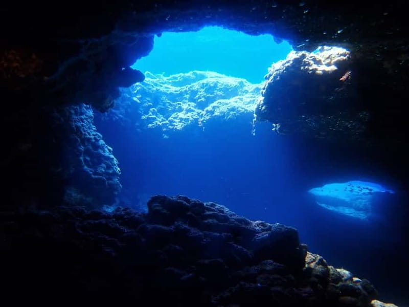 Protaras: Cape Grecko Single Dive for Qualified Divers - Practical timing and cancellation advice