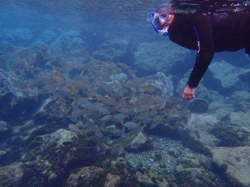 Puerto del Carmen: Snorkeling Trip with Dive Instructor - What families and nervous beginners should know