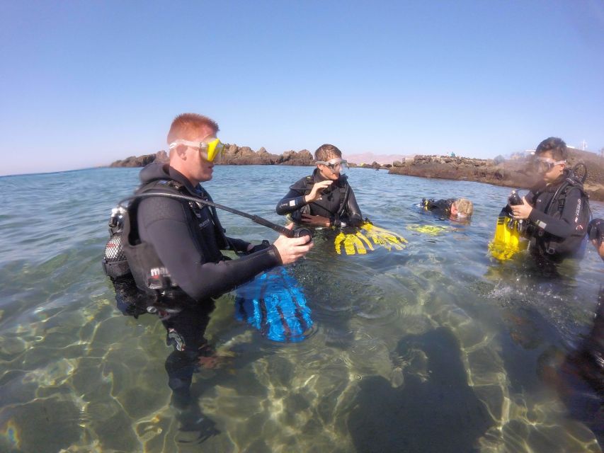 Puerto del Carmen: Try Scuba Diving for Beginners - What you see at 6 meters