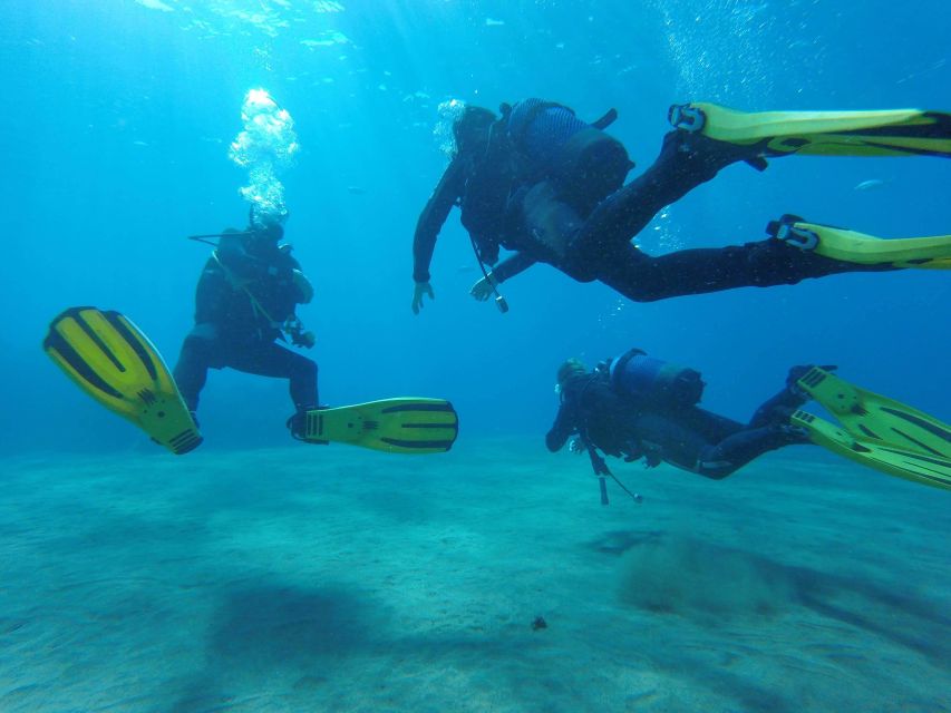Puerto del Carmen: Try Scuba Diving for Beginners - Booking, timing, and cancellation