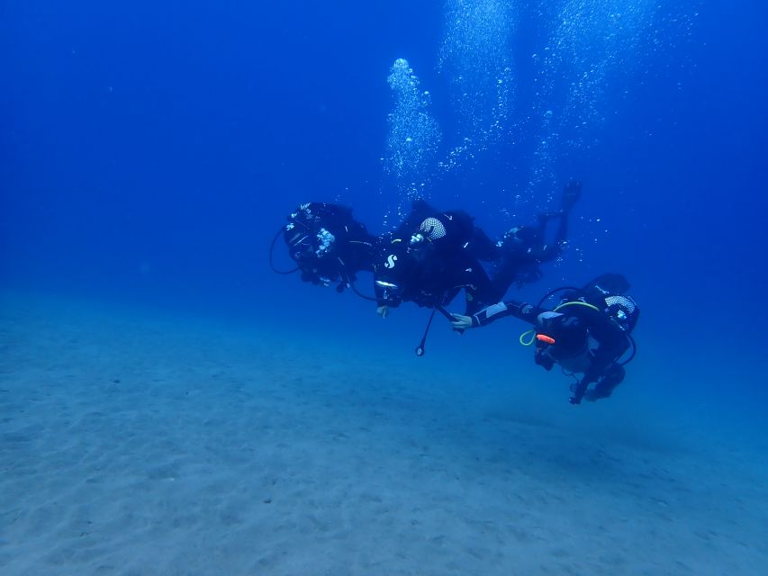 Puerto del Carmen: Try Scuba Diving from the beach - Key points at a glance