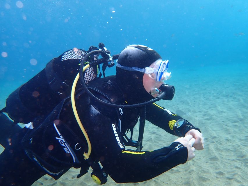 Puerto del Carmen: Try Scuba Diving from the beach - Medical rules you should take seriously