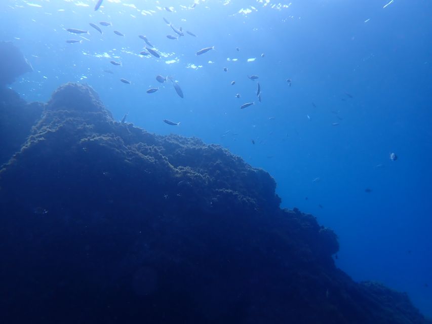 Puerto del Carmen: Try Scuba Diving from the beach - Practical details for a smooth morning or afternoon