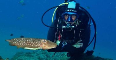 Puerto Del Carmen: Try Scuba Diving with 2 Dives and Photos