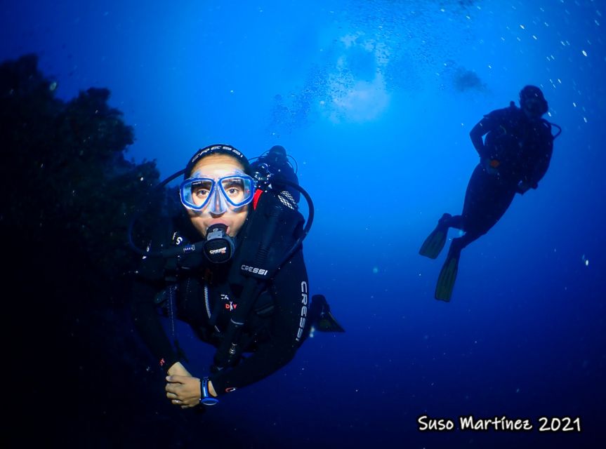 Puerto Del Carmen: Try Scuba Diving with 2 Dives and Photos - Who will enjoy this most