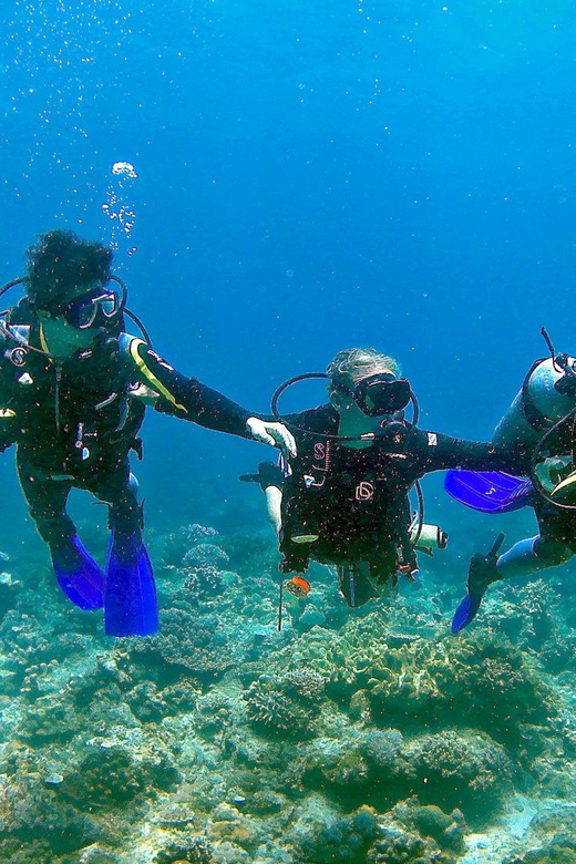 Pula: Introduction to Scuba Diving - How this compares with ordinary snorkeling