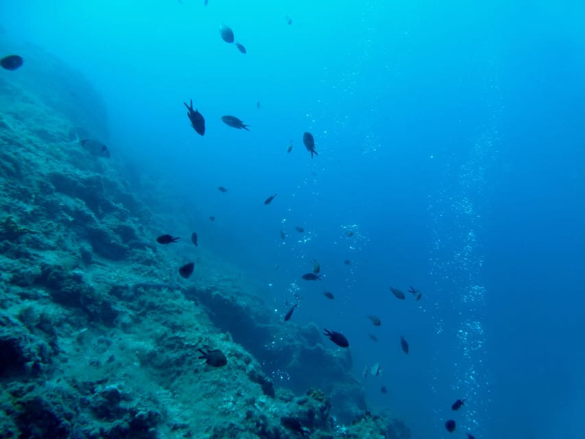 Pula: Introduction to Scuba Diving - Family groups, couples, and mixed confidence levels
