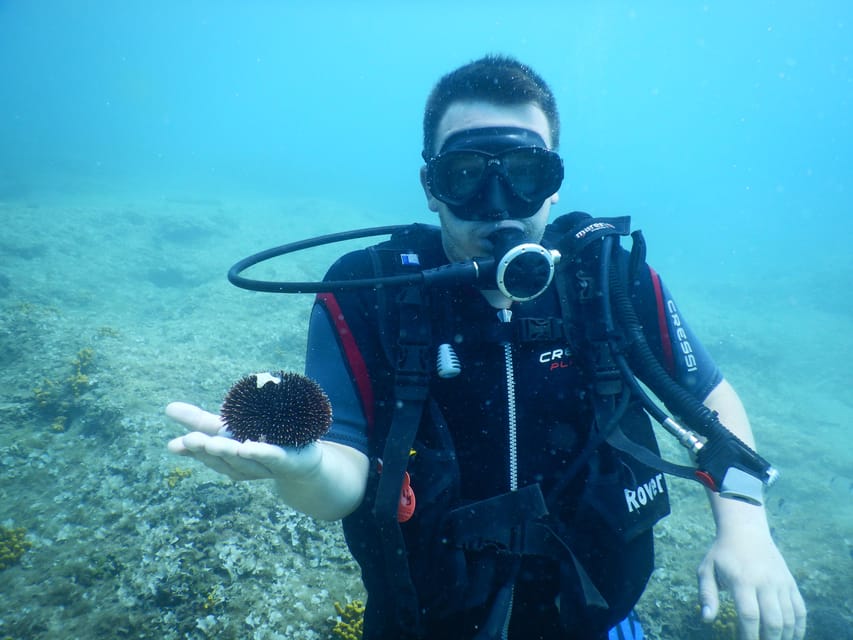 Pula: Private Introduction to Scuba Diving - Who should book this Pula scuba introduction?