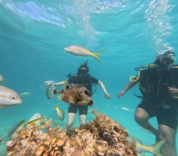 Punta Cana: Discover Scuba Diving Experience for Beginners - A first underwater lesson that keeps the pace gentle