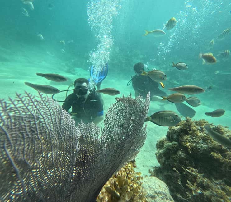Punta Cana: Discover Scuba Diving Experience for Beginners - Poolside practice before the boat leaves