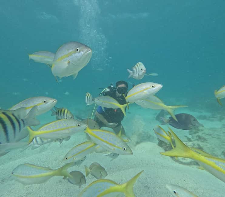 Punta Cana: Discover Scuba Diving Experience for Beginners - Seeing coral and fish at a maximum of 12 meters