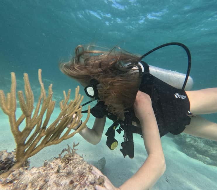 Punta Cana: Discover Scuba Diving Experience for Beginners - Is $95 a fair price?