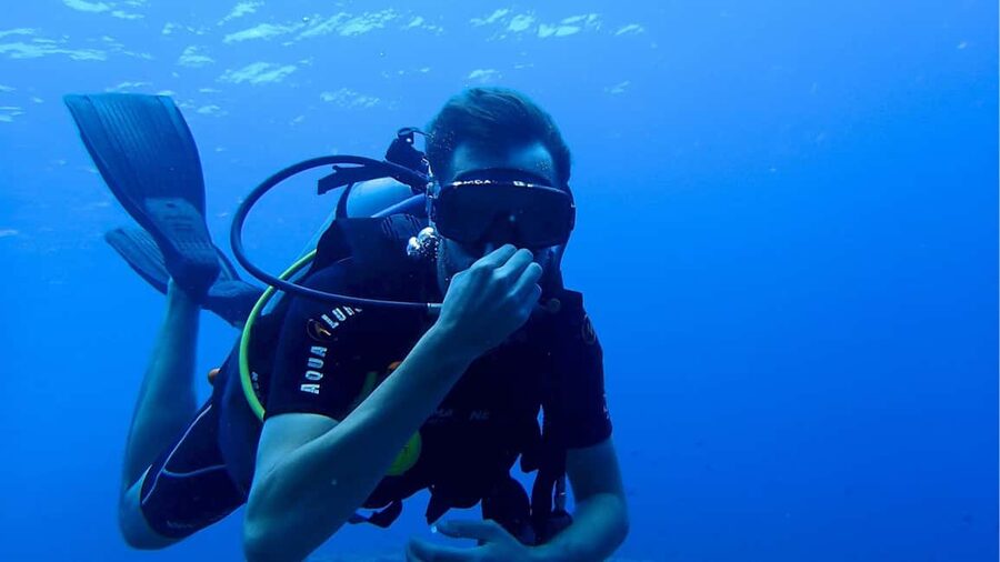 Punta Cana: Dive the Coral Paradise of Catalina Island - Key points to know before booking
