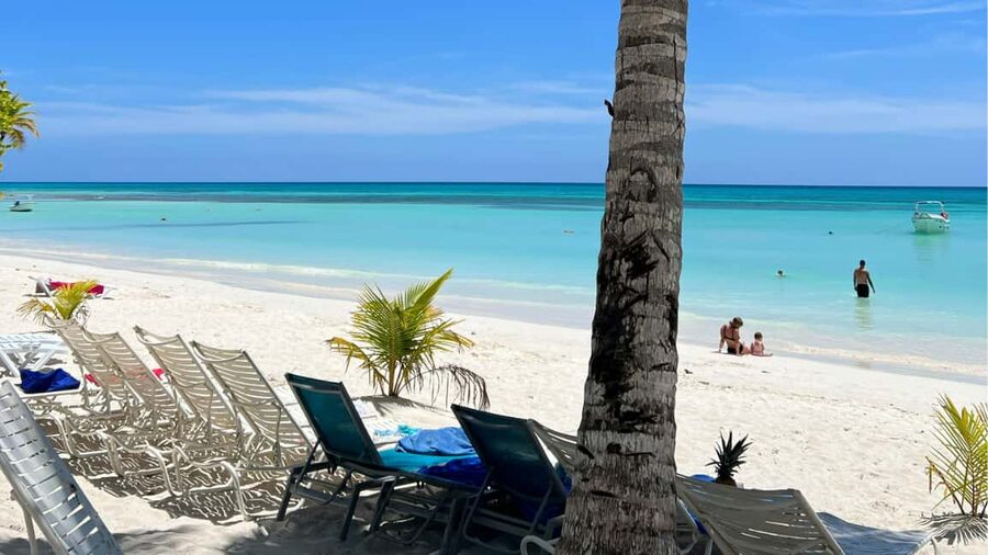 Punta Cana: Dive the Coral Paradise of Catalina Island - Catalina Island gives you more than a resort beach day