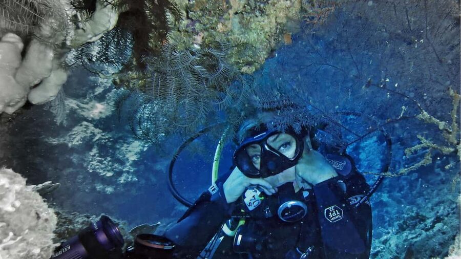 Punta Cana: Dive the Coral Paradise of Catalina Island - El Acuario keeps the second session shallow