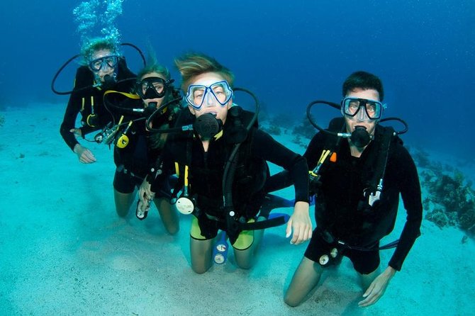 Punta Cana: PADI Open Water Scuba Certification (2–3 Days) - What the Punta Cana PADI course really involves