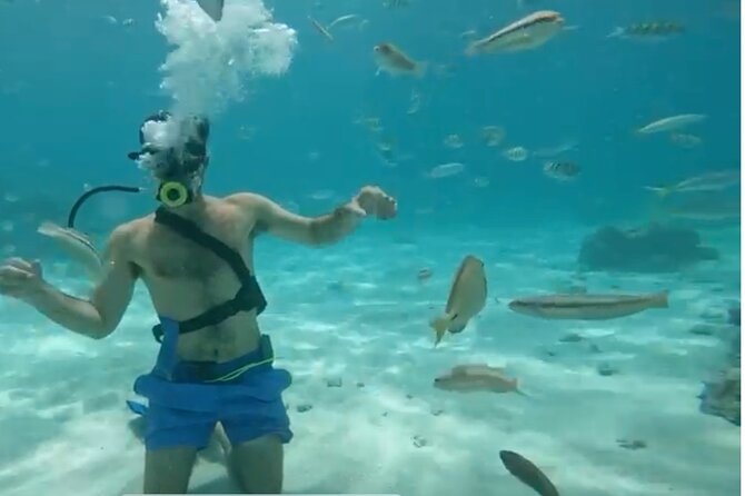 Punta Cana Party Cruise with Snorkeling, Hooka Diving and Parasailing - A four-hour Punta Cana water day